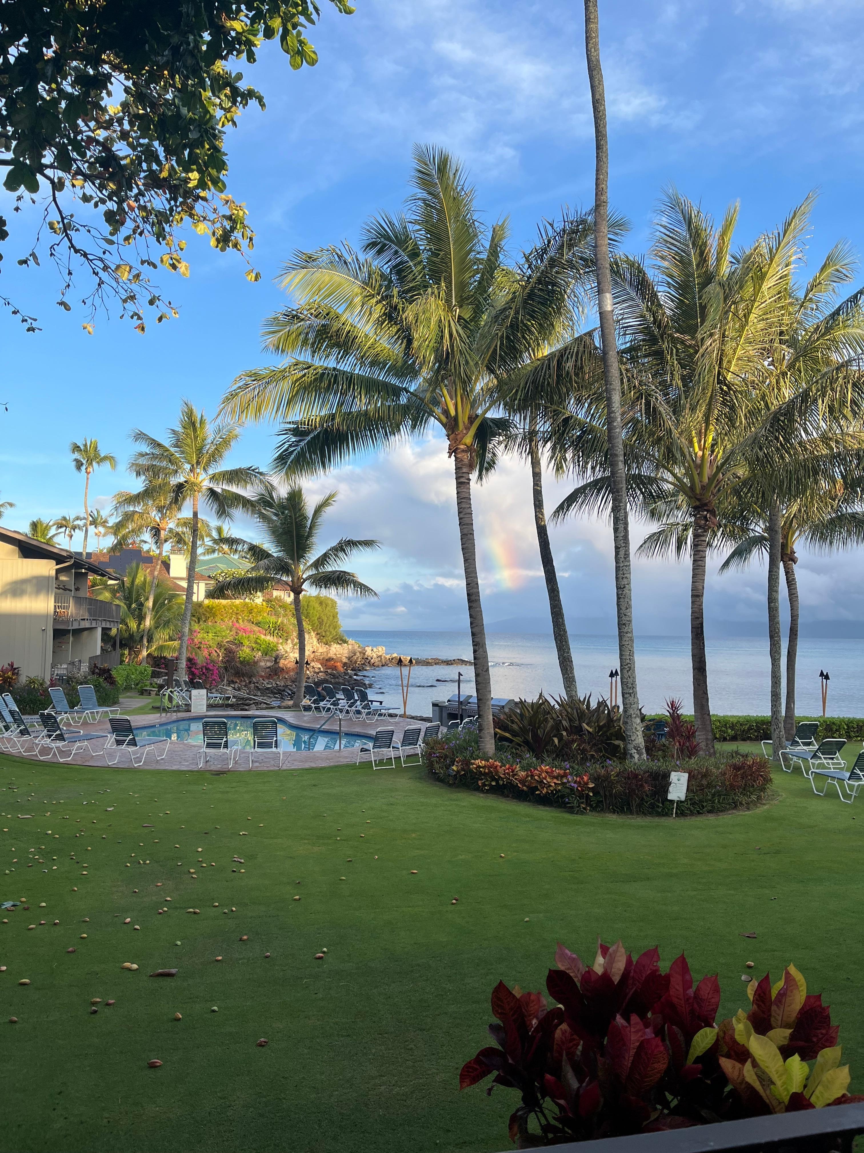 Morning view from the lanai