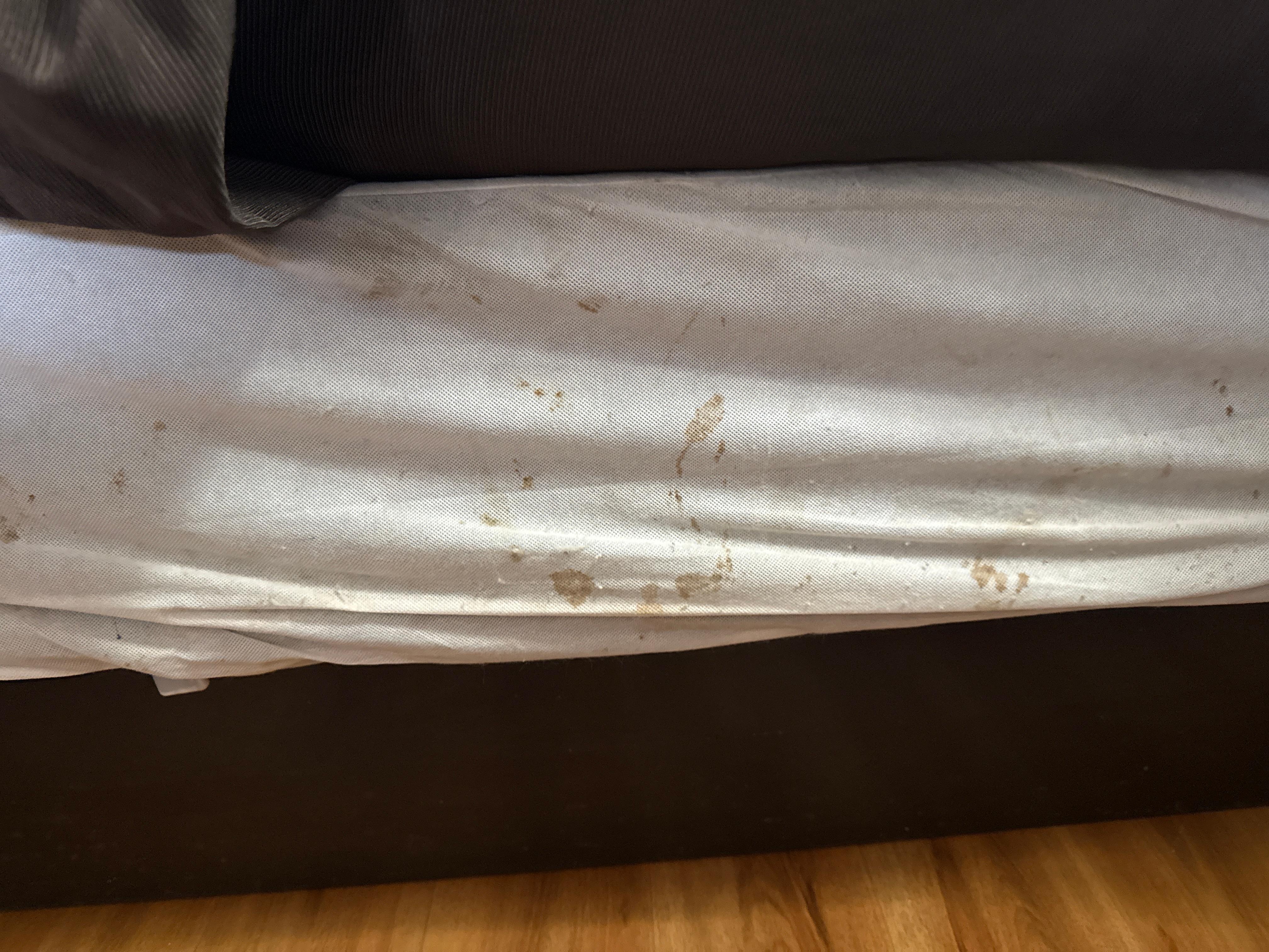 Stains on bed