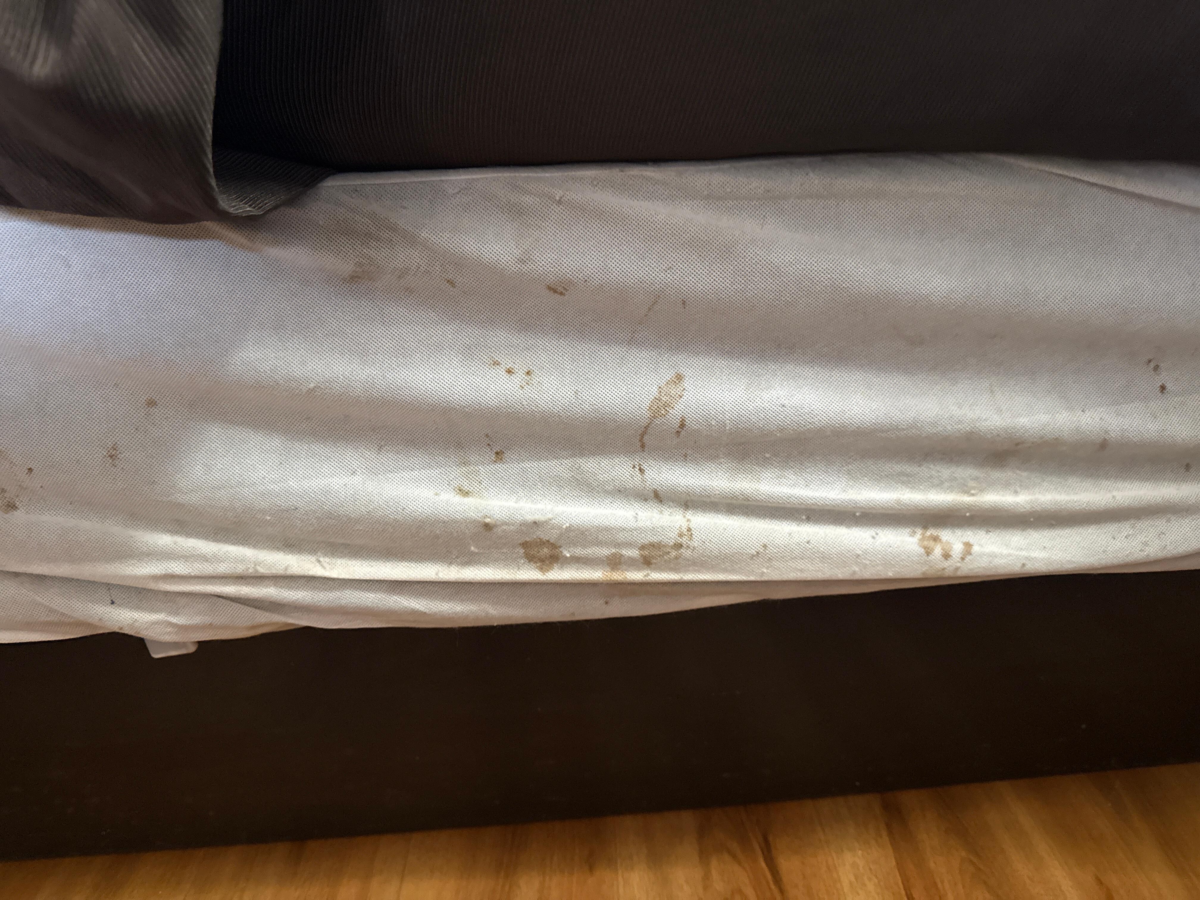 Stains on bed