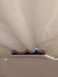 Shower curtain