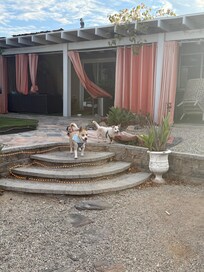 The backyard is so cute