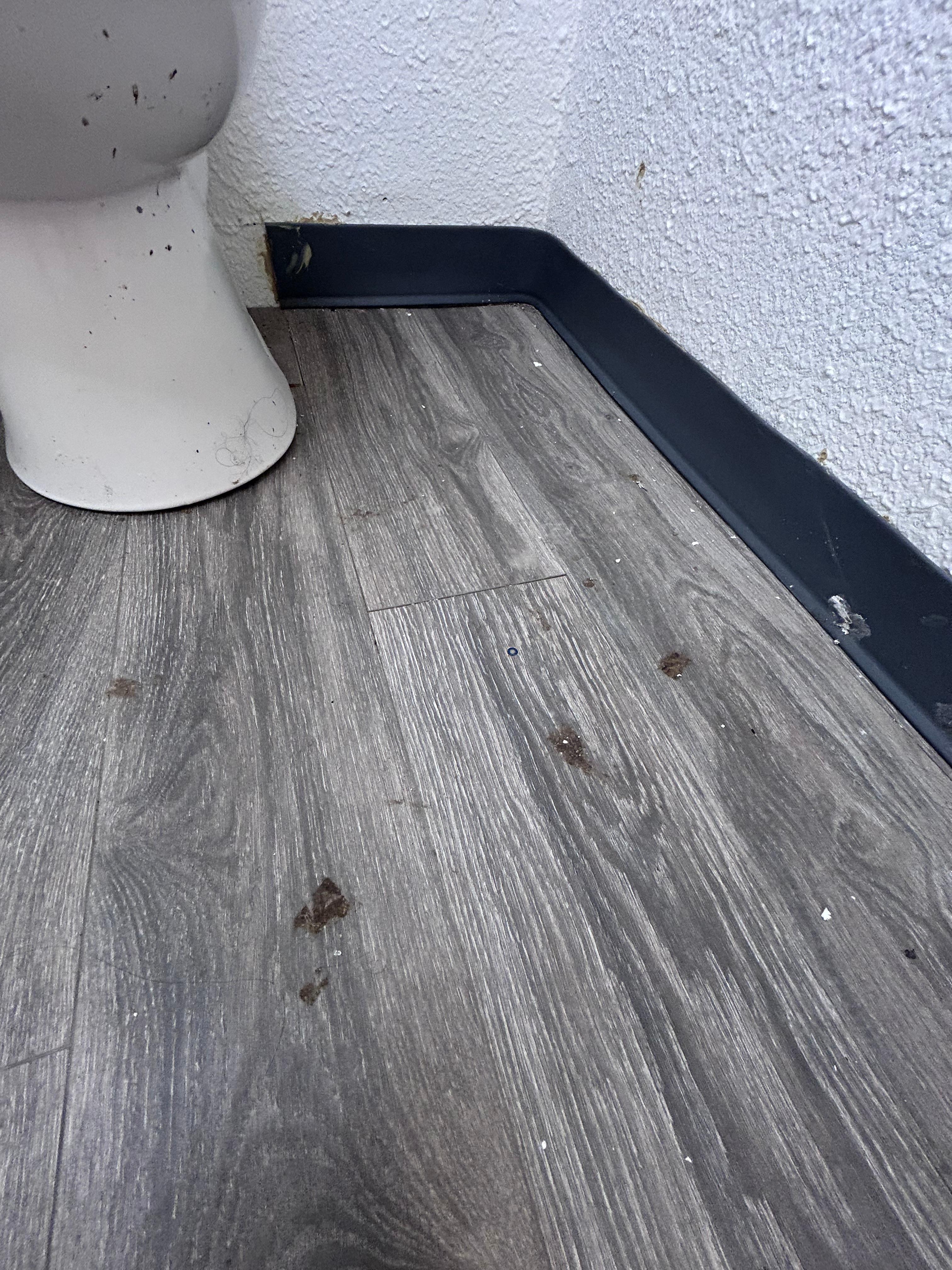 Mystery dirt in bathroom