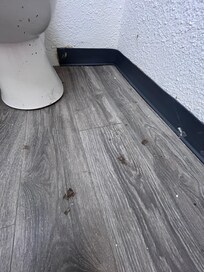 Mystery dirt in bathroom