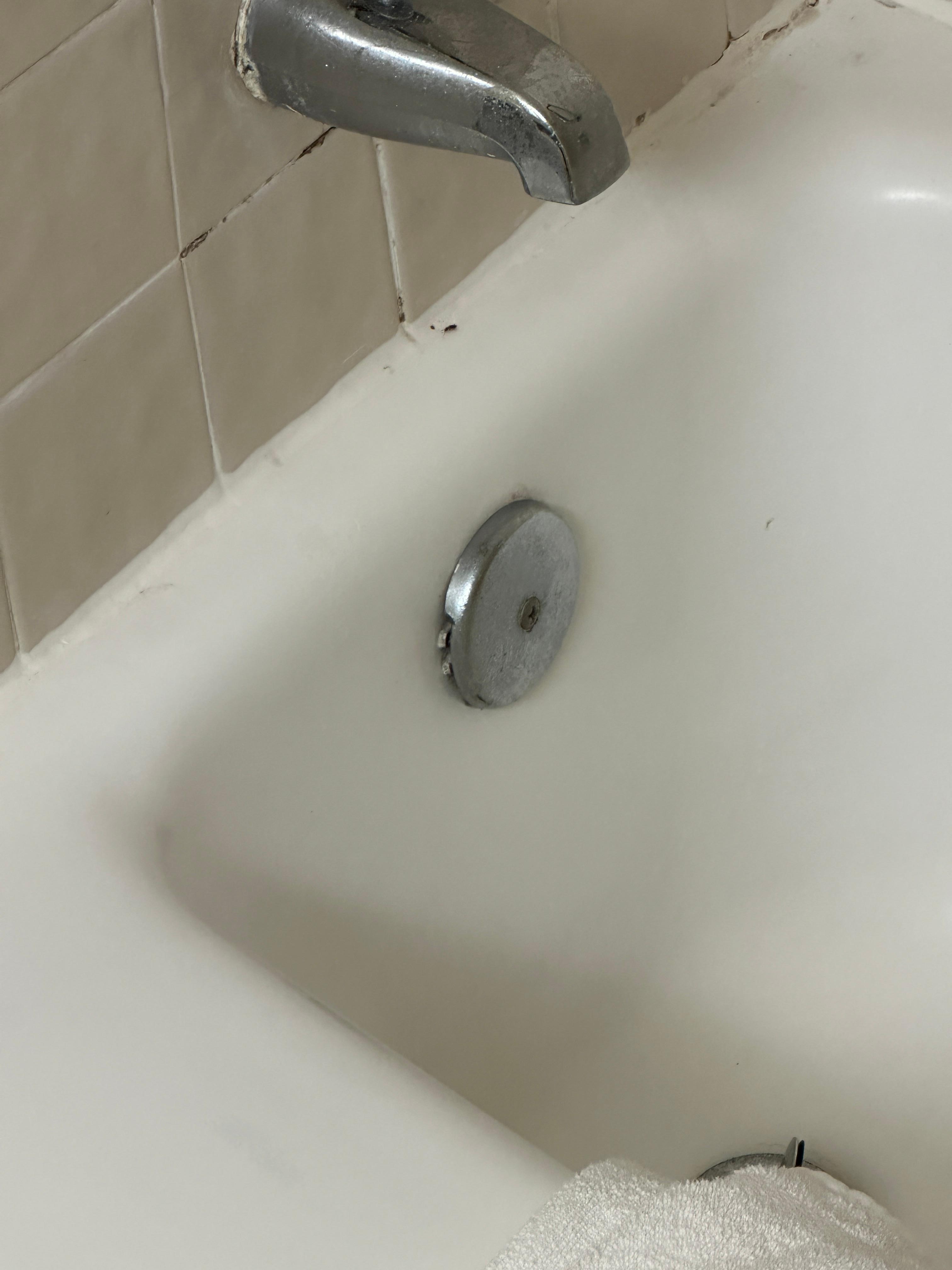 Cockroaches in bathroom 