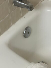 Cockroaches in bathroom