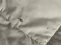 Linen “comforter”