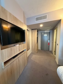 TV and wardrobe area