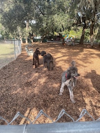 Nearby dog park