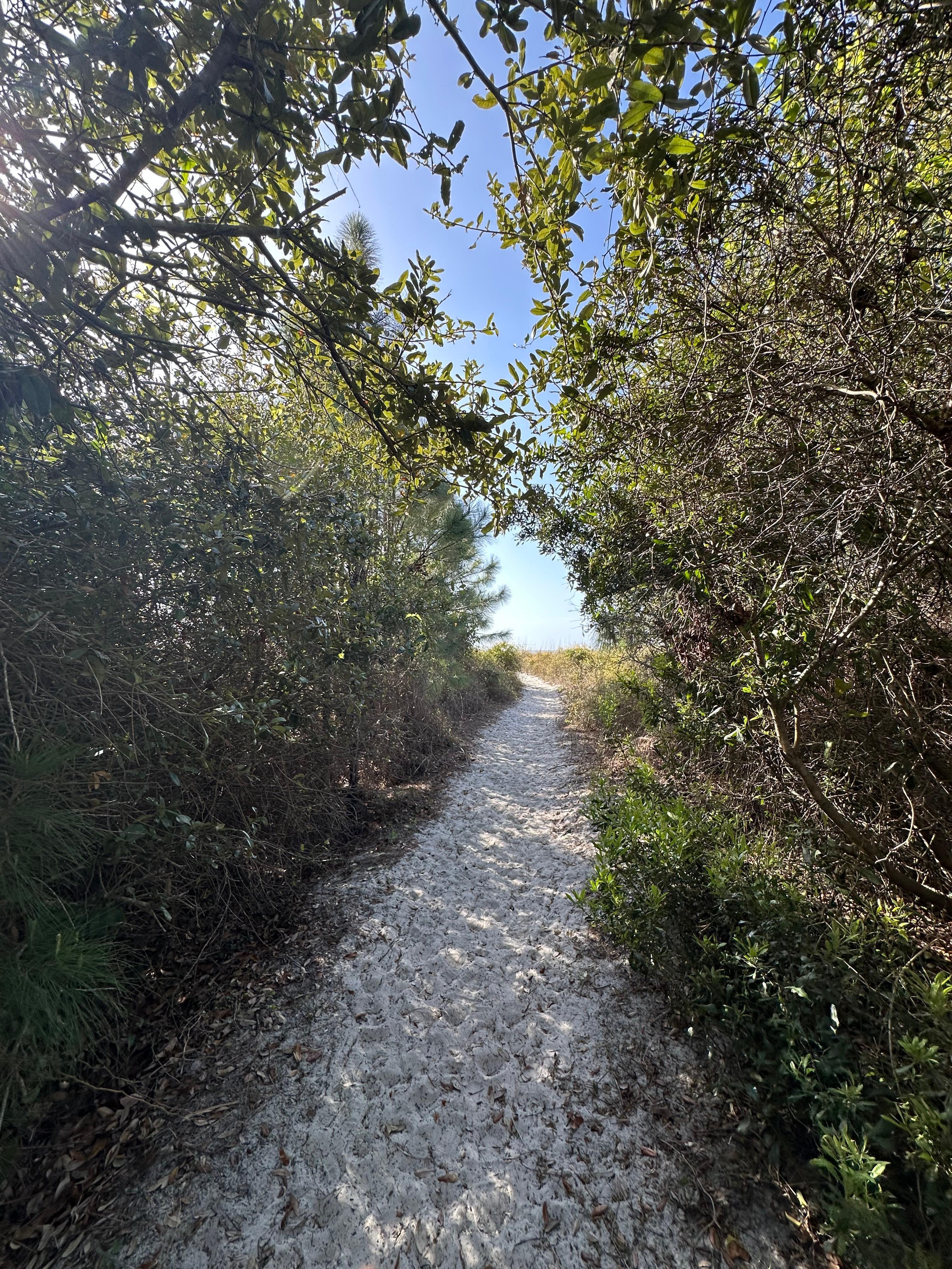 Easy beautiful 5 minute walk to the beach