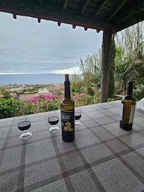 Wine on top of the world. And this homes provides this.