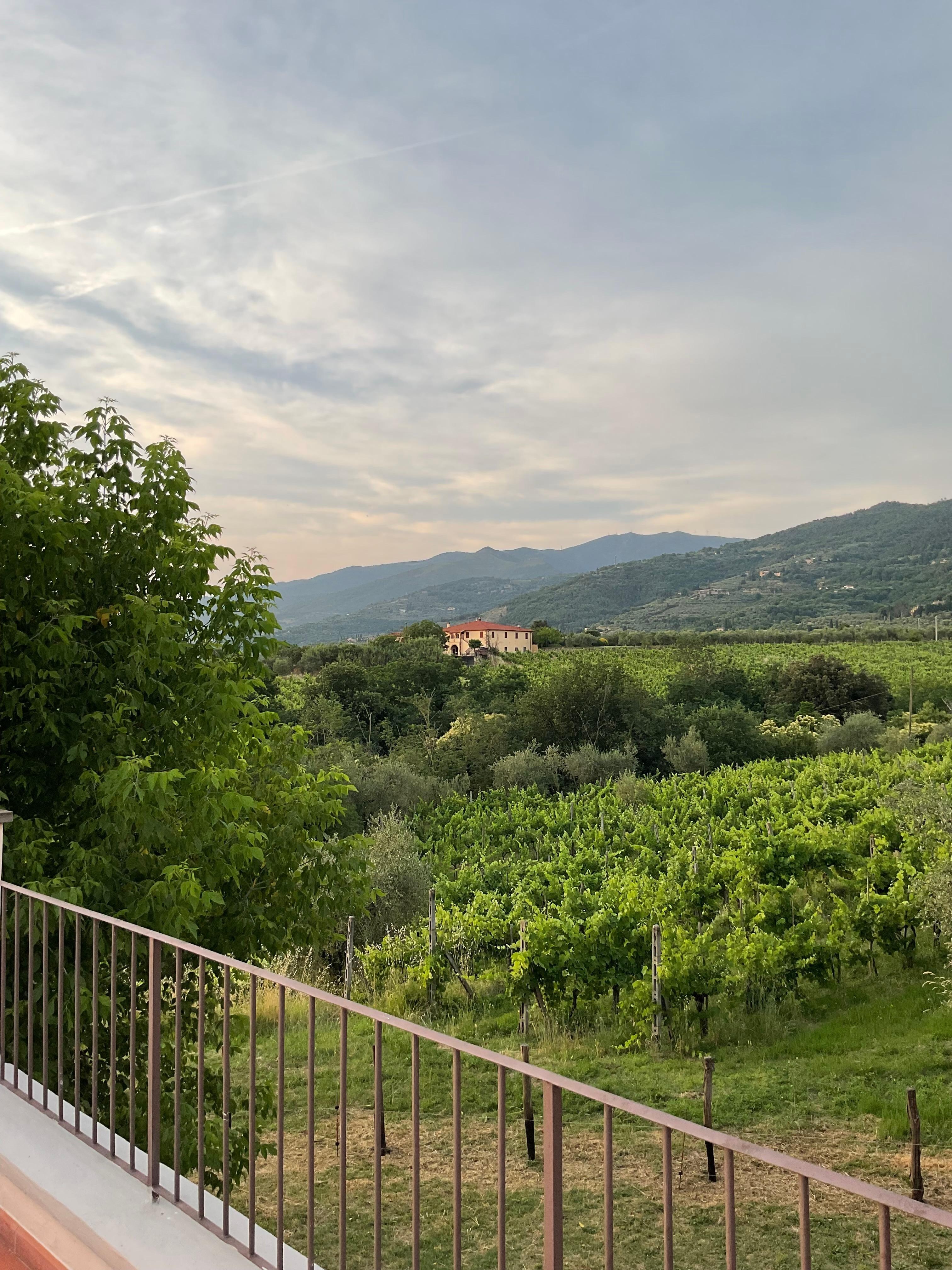 The surrounding hills