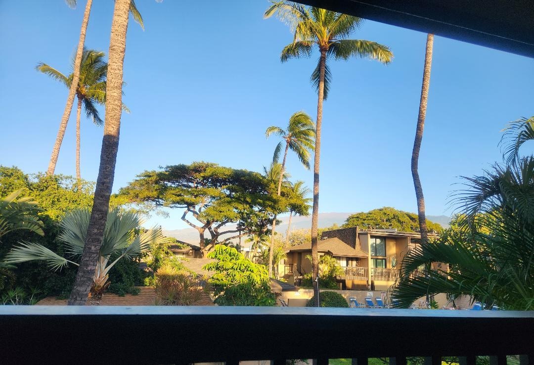 Morning coffee on the lanai