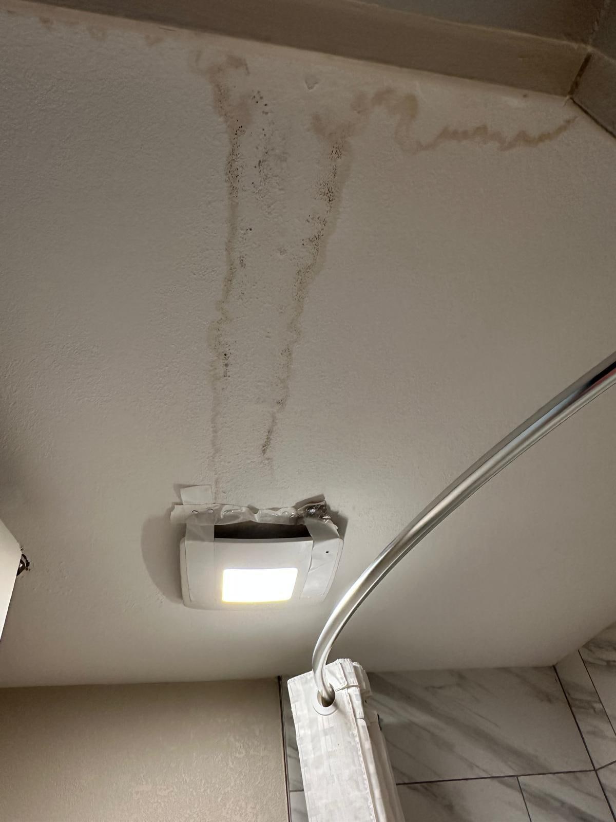 Ceiling in the bathroom 