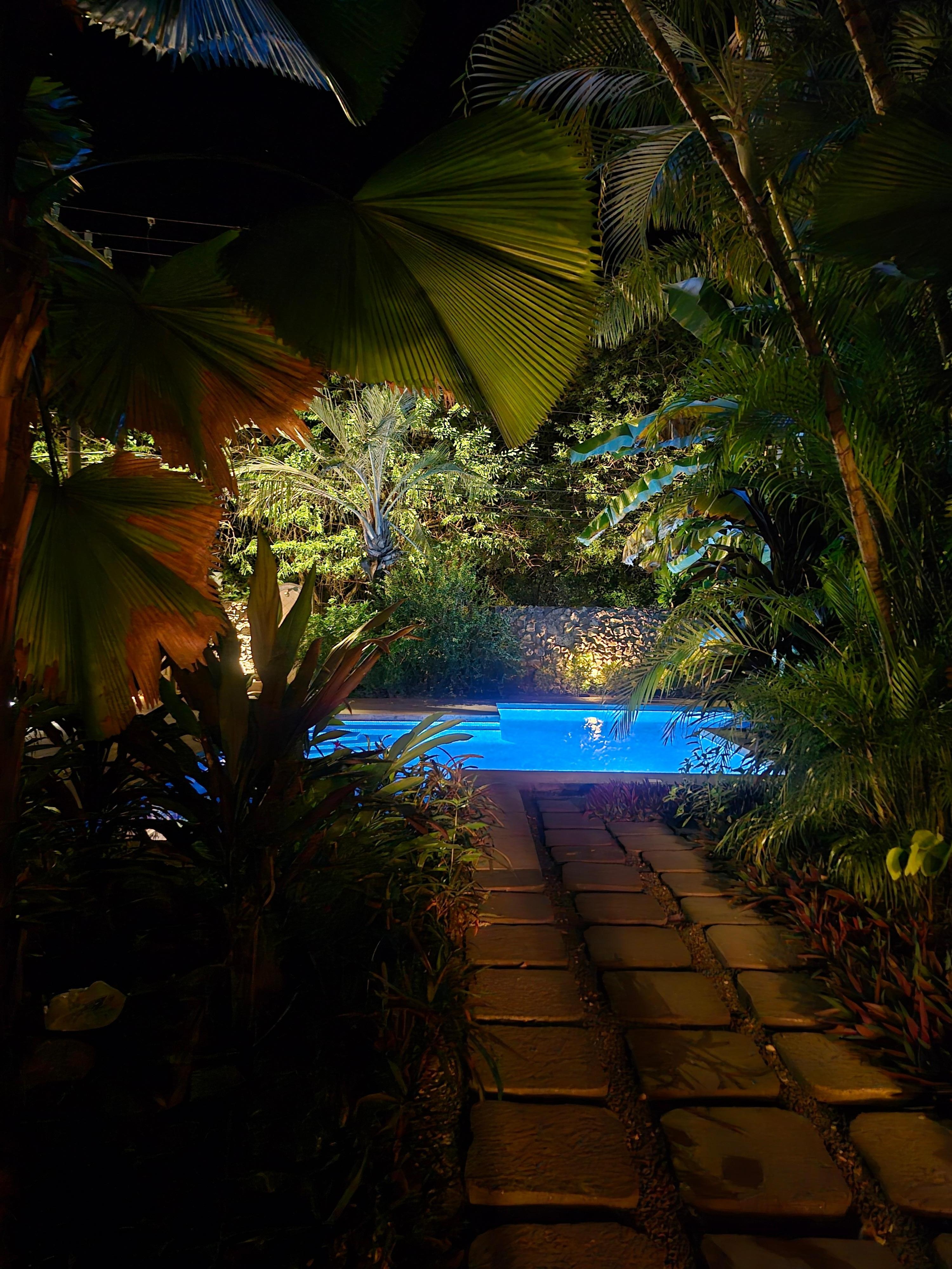 View at night from back porch. 