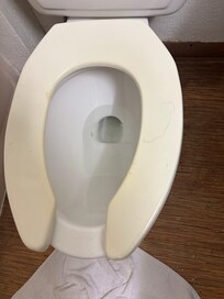 Long hair on toilet