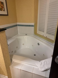 Jacuzzi/Jetted Tub