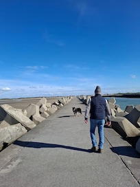 Grande balade jusqu'Ă l'embouchure du canal