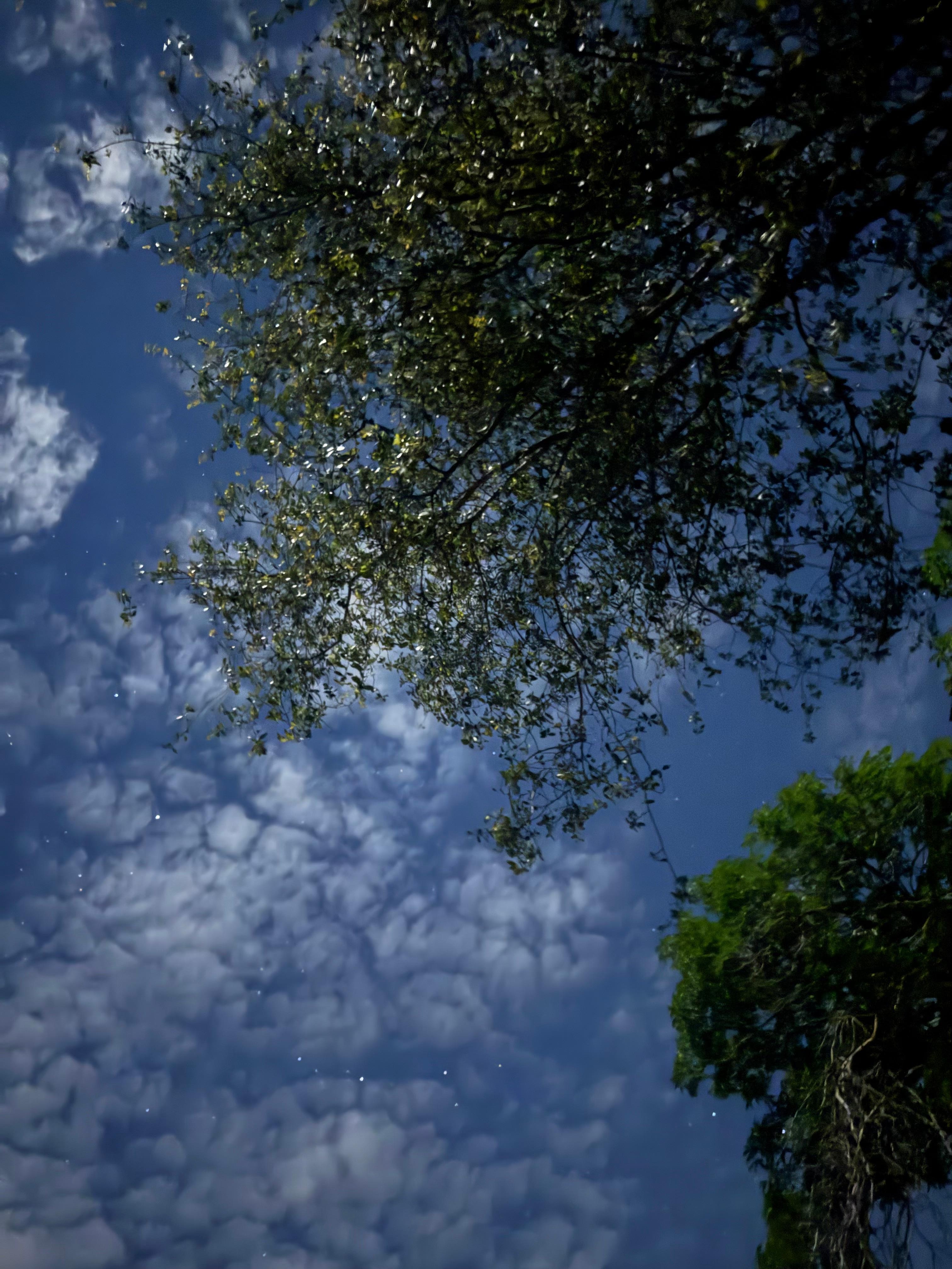 You can see the stars ✨