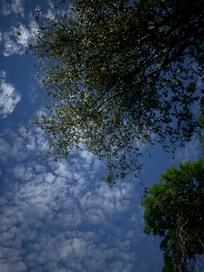 You can see the stars ✨