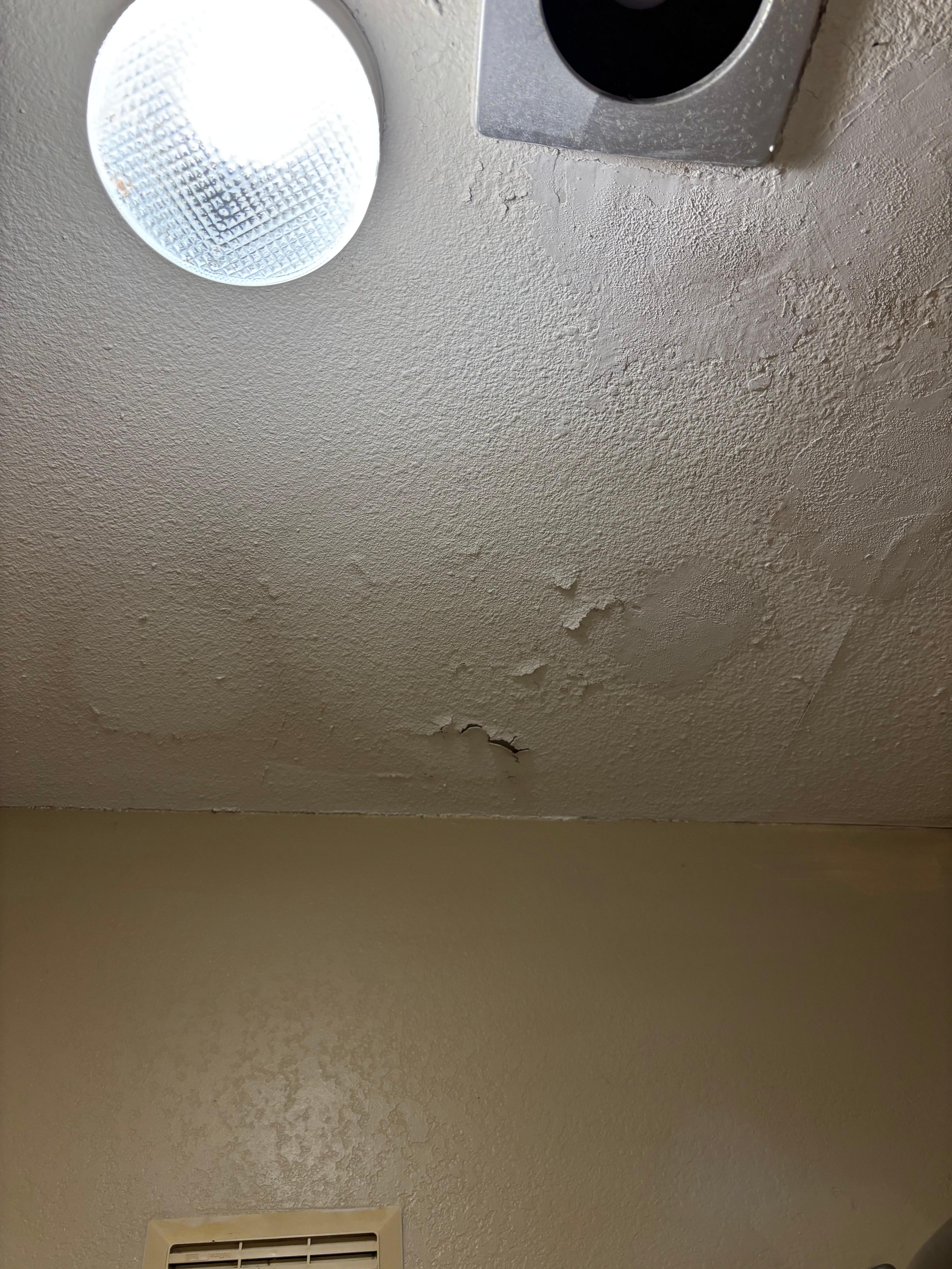 Moldy ceilings
