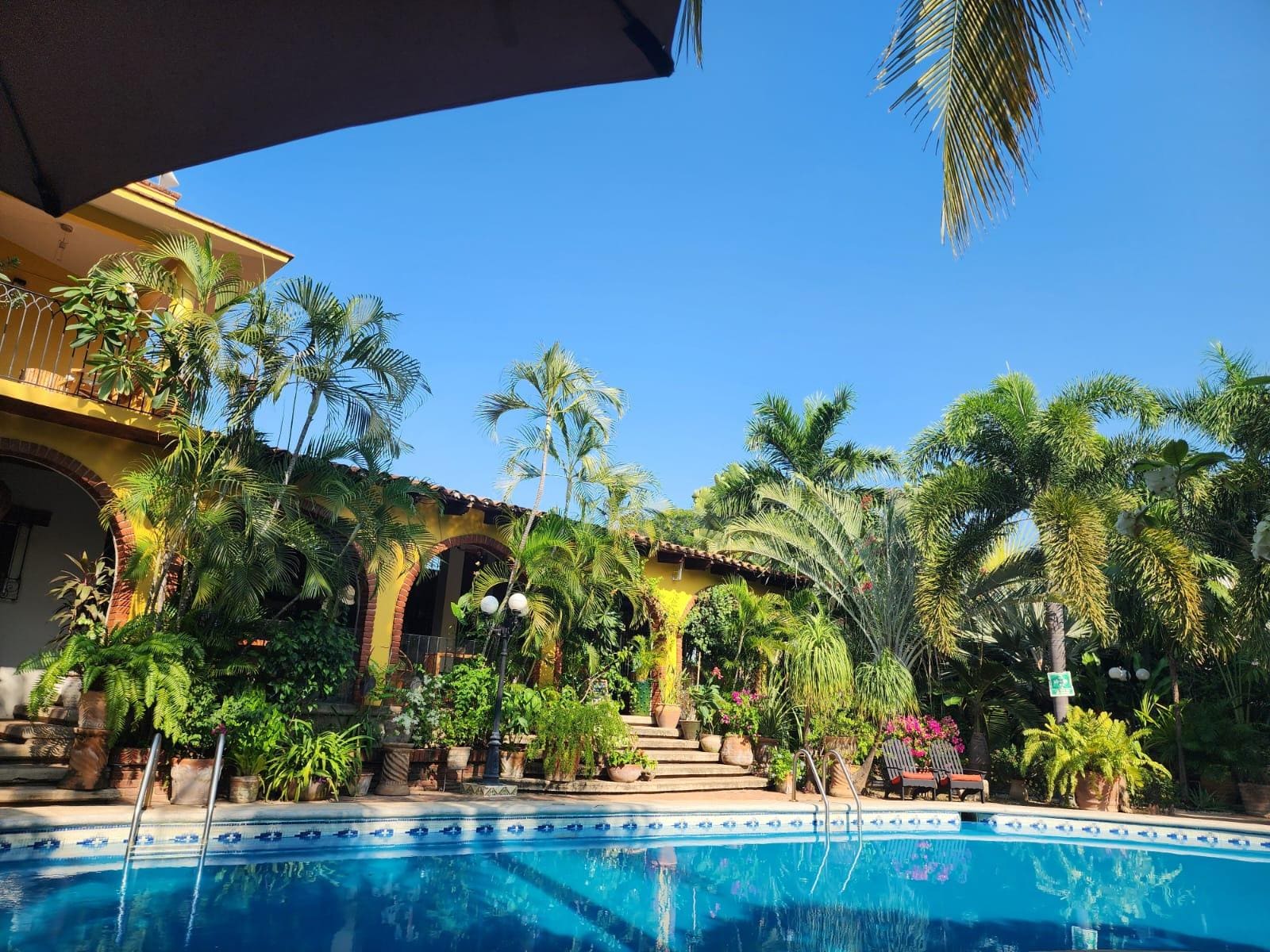 Nice pool and garden!! 