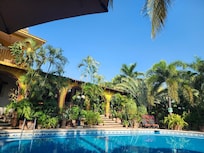 Nice pool and garden!!