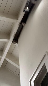 Black mold dripping from rafters