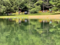 View from across the pond. Our cabin was the one to the right.