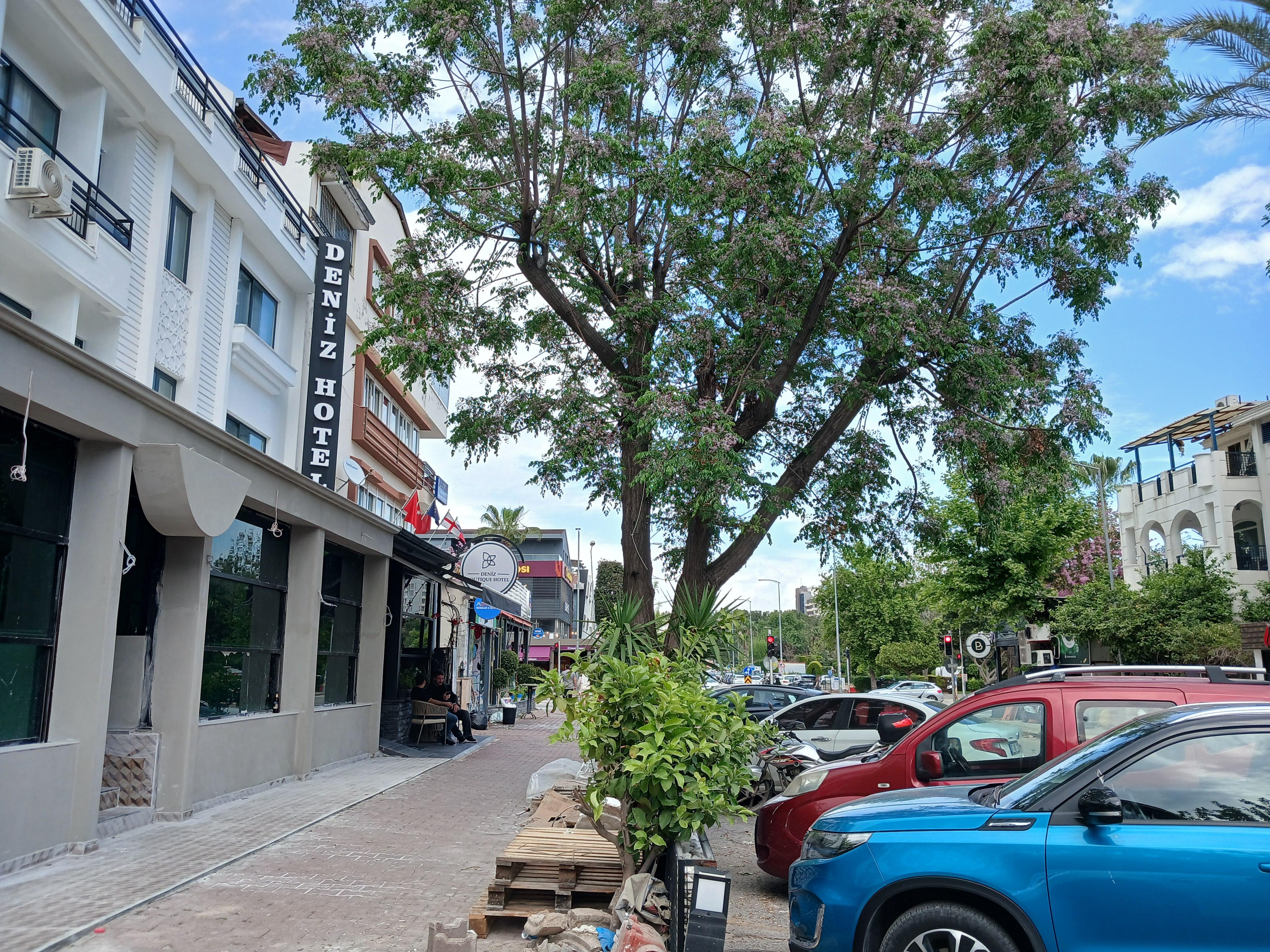 Neighbourhood 