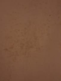 Mouldy/ filthy sheets in 2nd room allocated