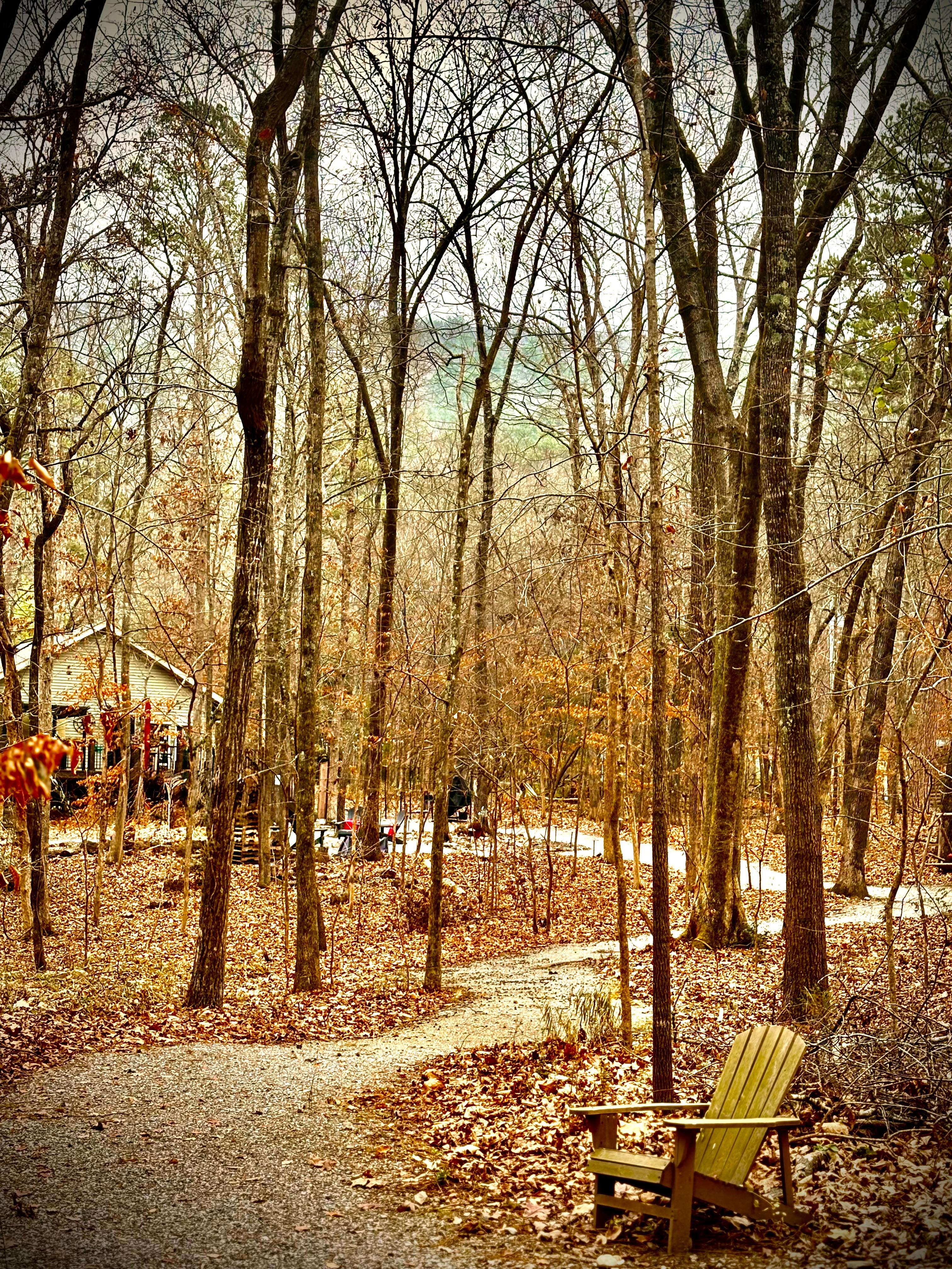 The nature trail was my favorite part (aside from the hammock 🤗). 