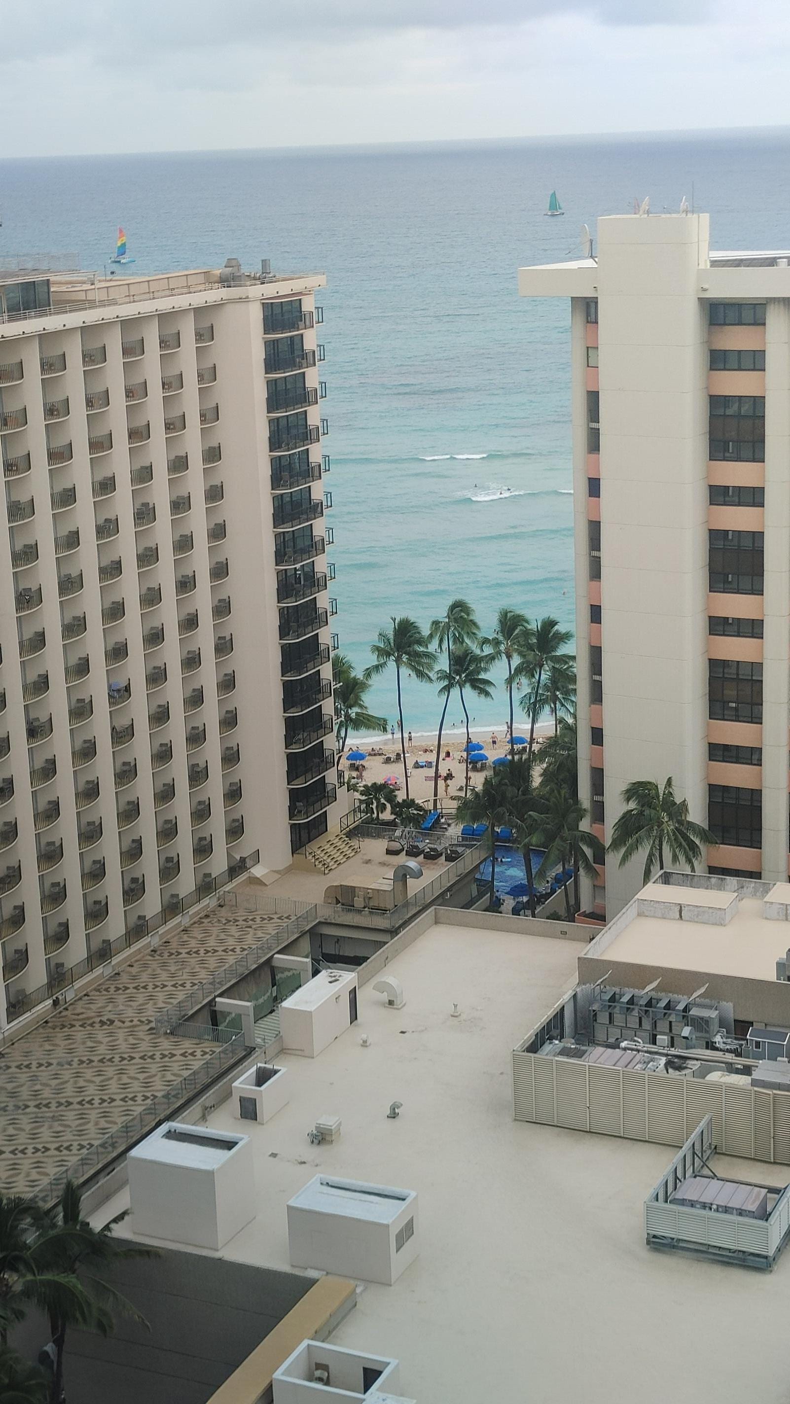 ワイキキが下に見えます。