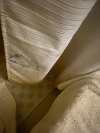 Moldy Shower Curtain