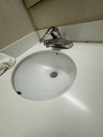 Bathroom Sink with Roach