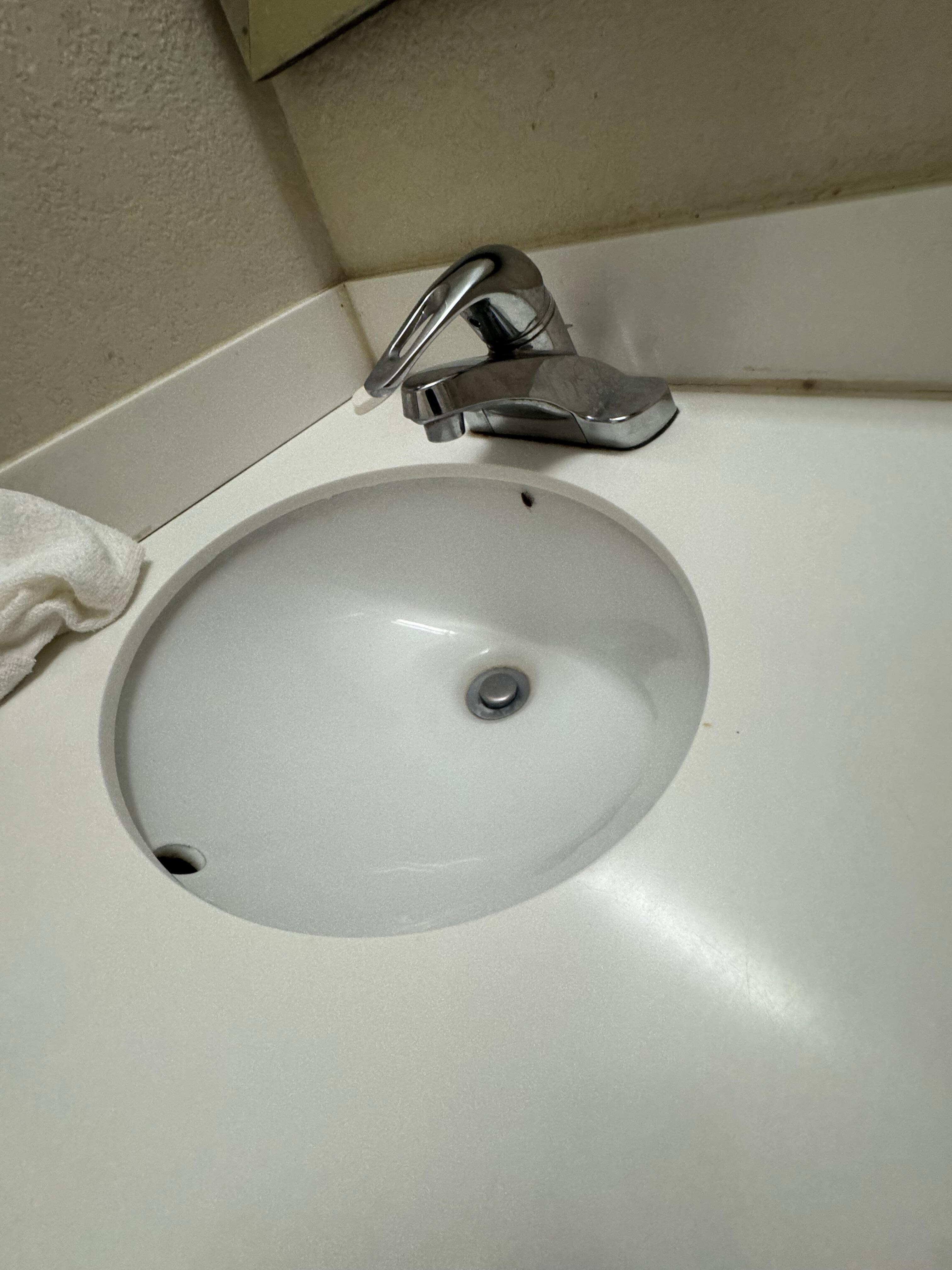 Bathroom Sink with Roach 