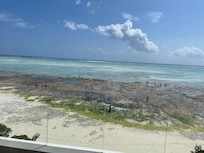 Ocean View bei Ebbe