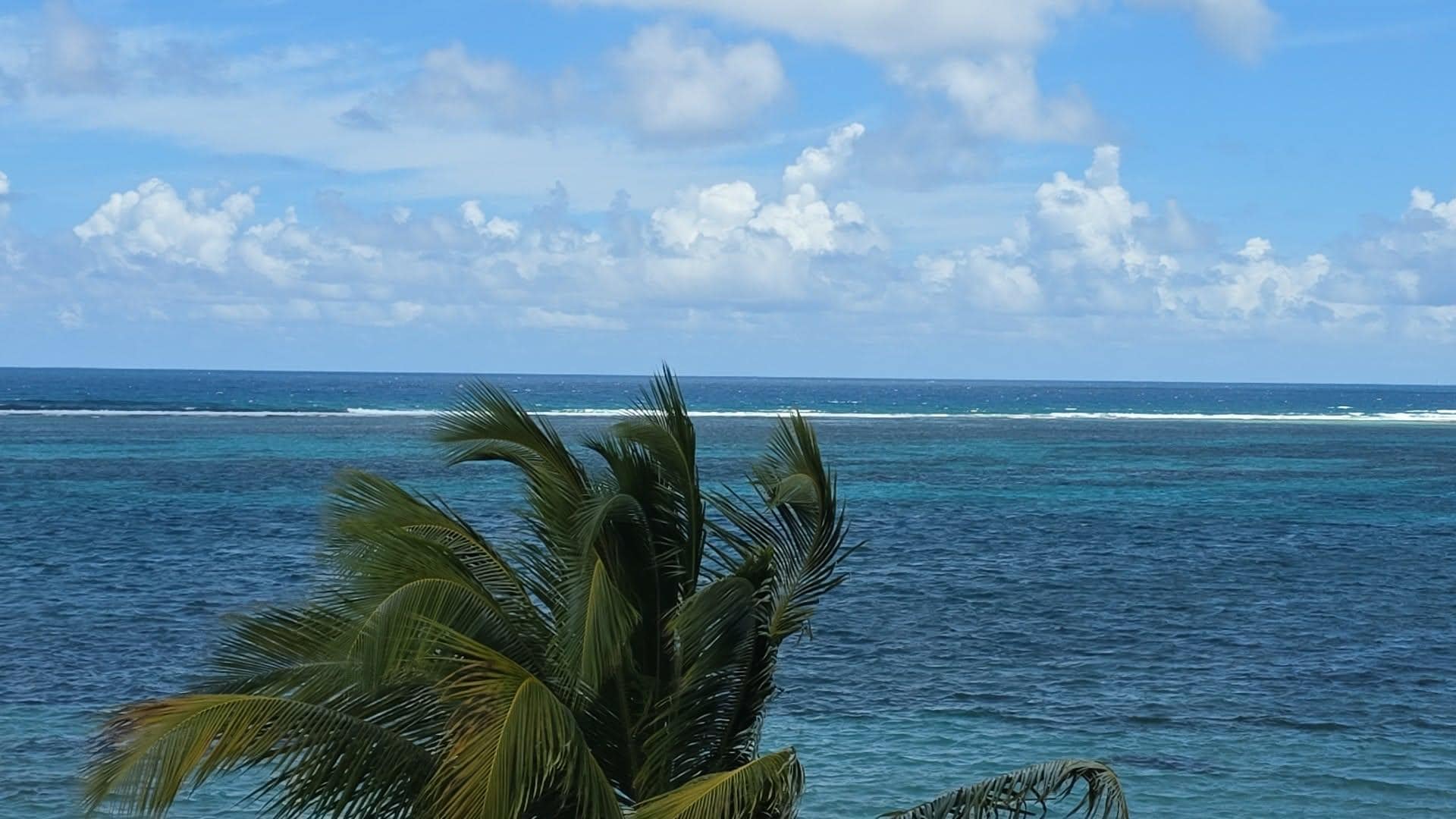 View from the condo balcony