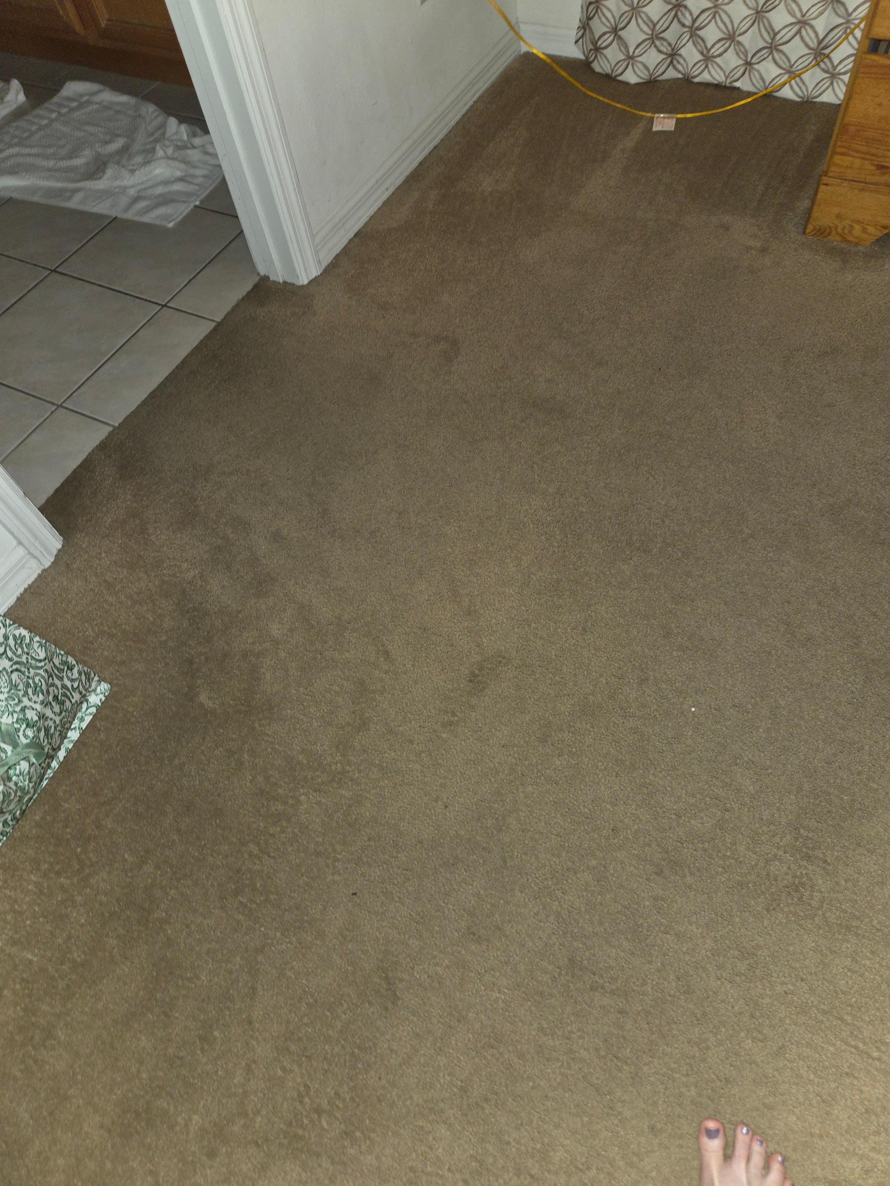 Stained dirty worn carpet