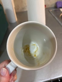 Right out of kitchen cabinet