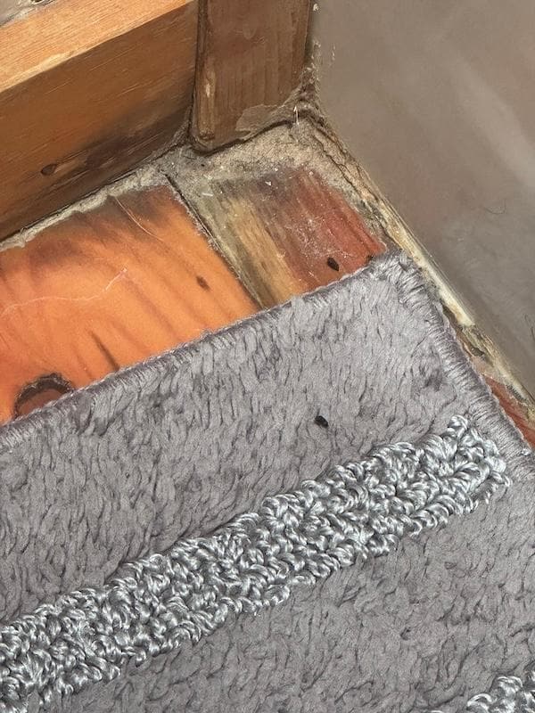 mouse dropping in bathroom