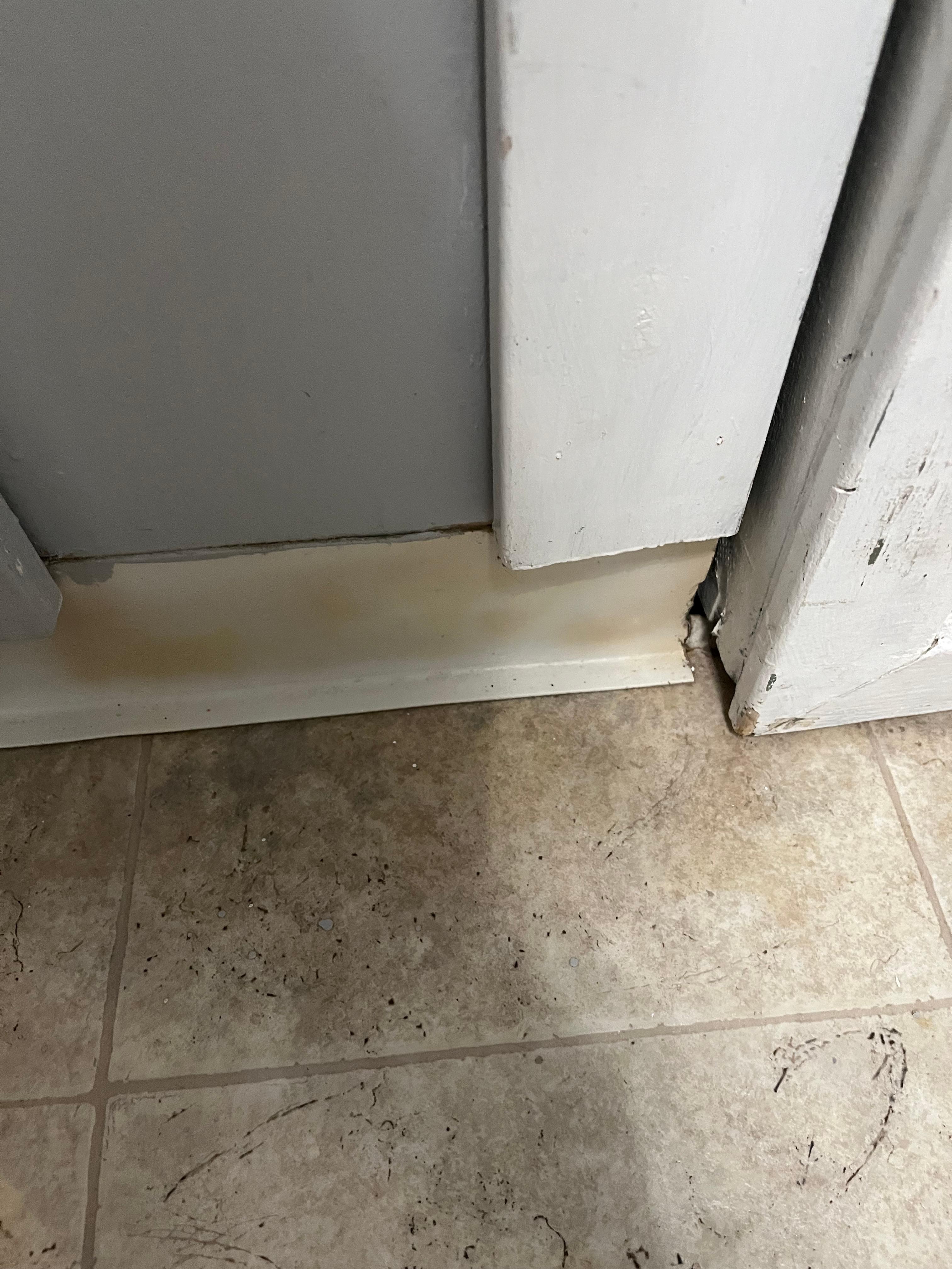 Bathroom floor and baseboard: typical of cleanliness throughout house.