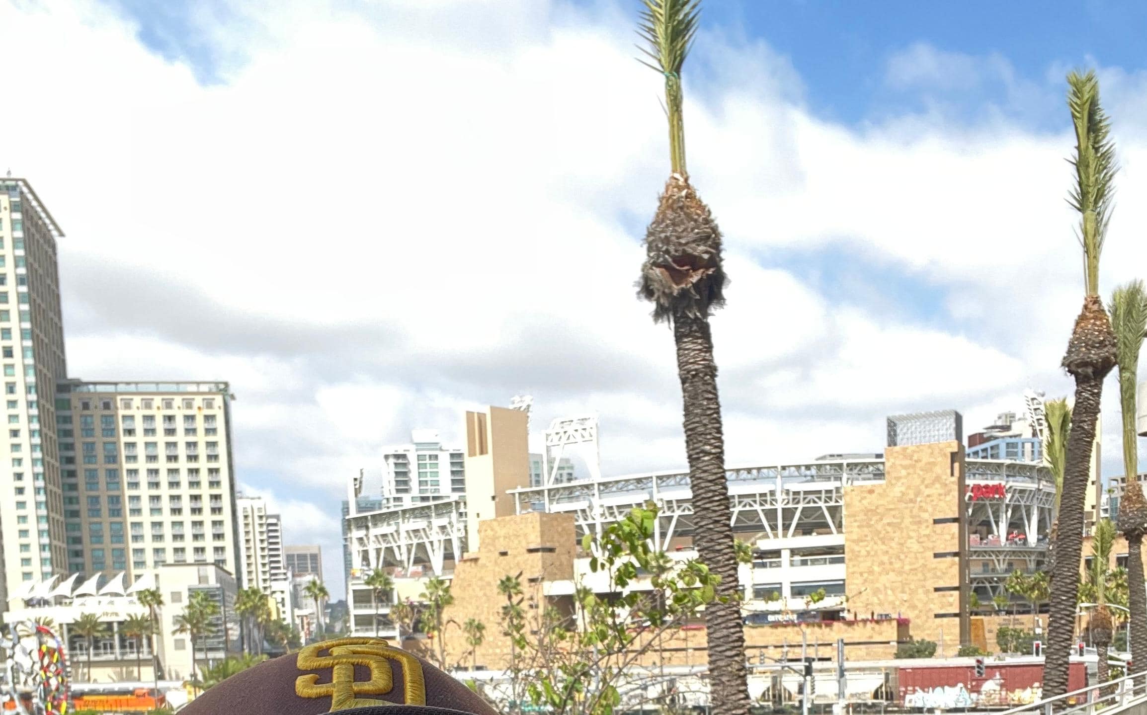 View walk from the Hilton to Petco Park