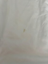Dirty bed