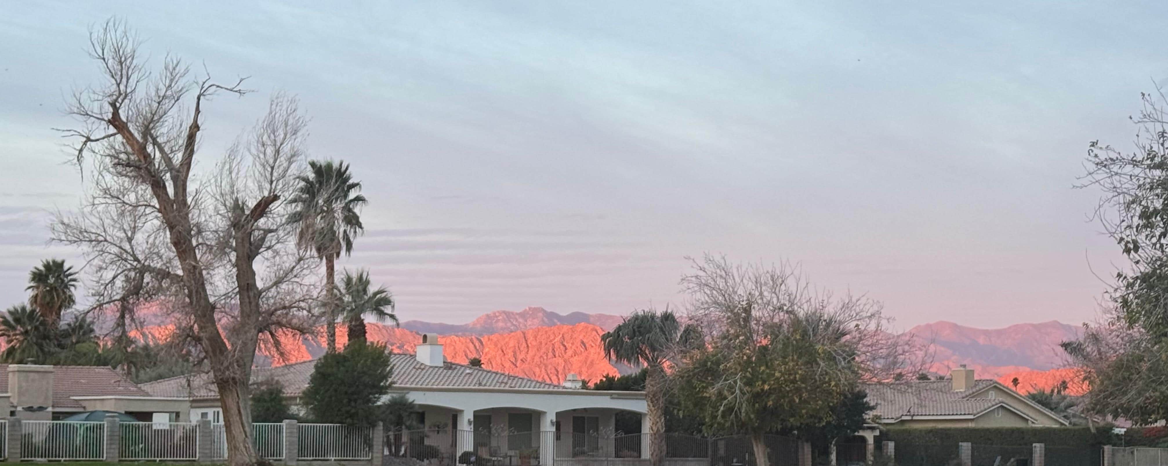 Morning view from the back patio 