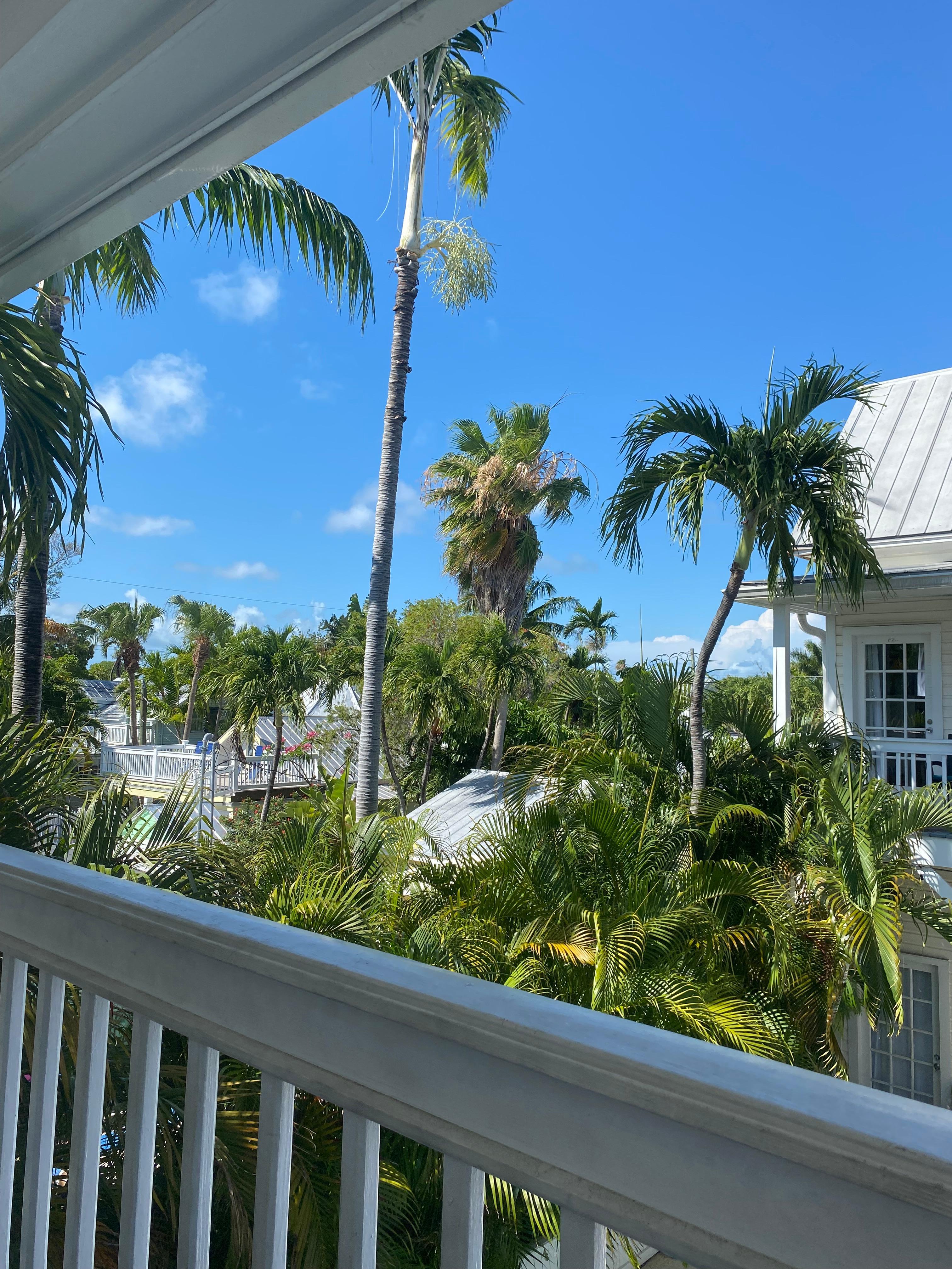 View from our balcony