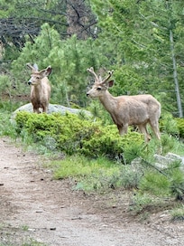 Right outside our door