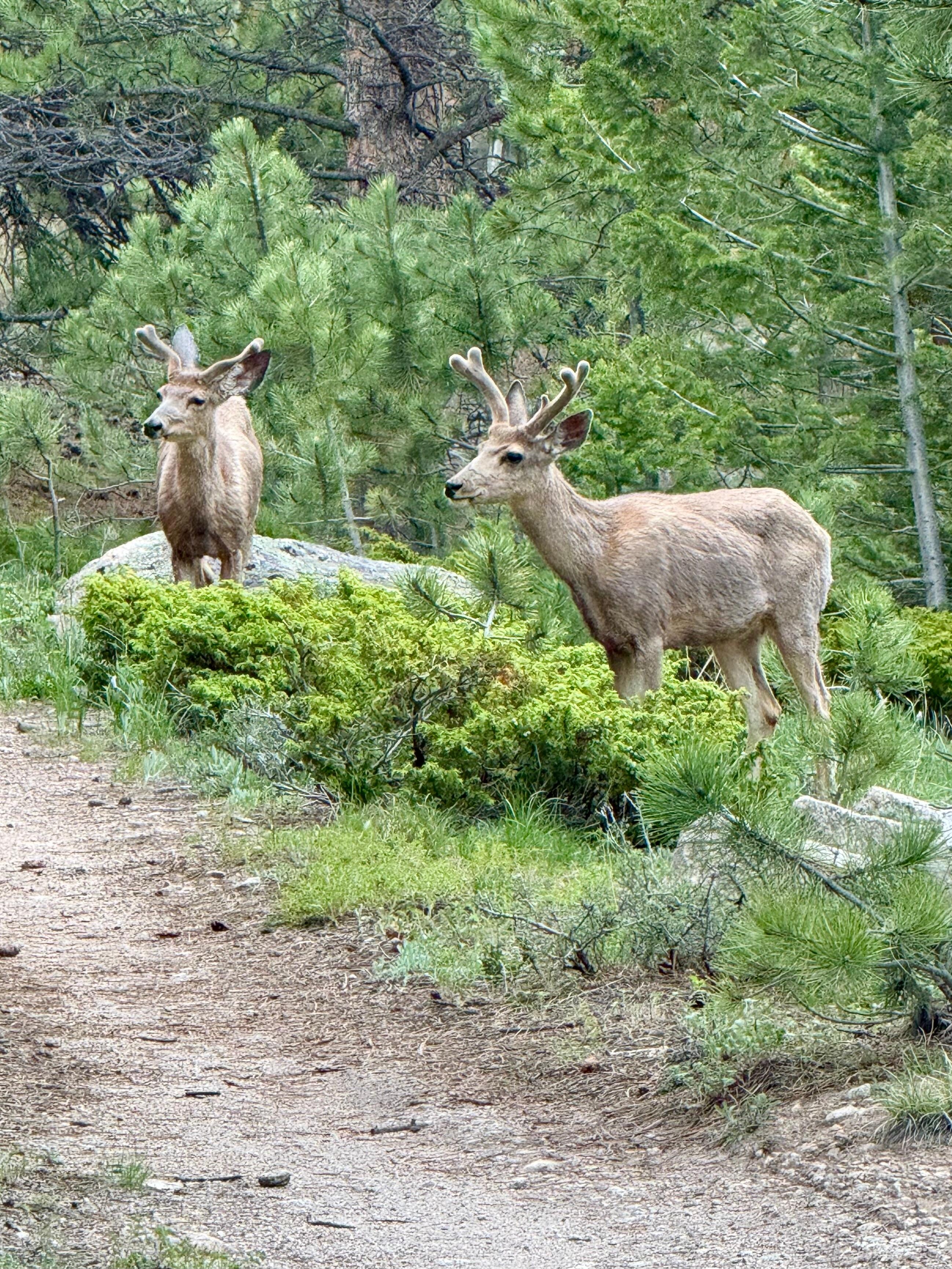 Right outside our door 