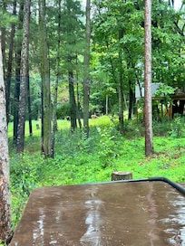 Photos from the bedroom window. We’d see deer here daily