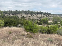 View off the back porch. The birds were always singing.