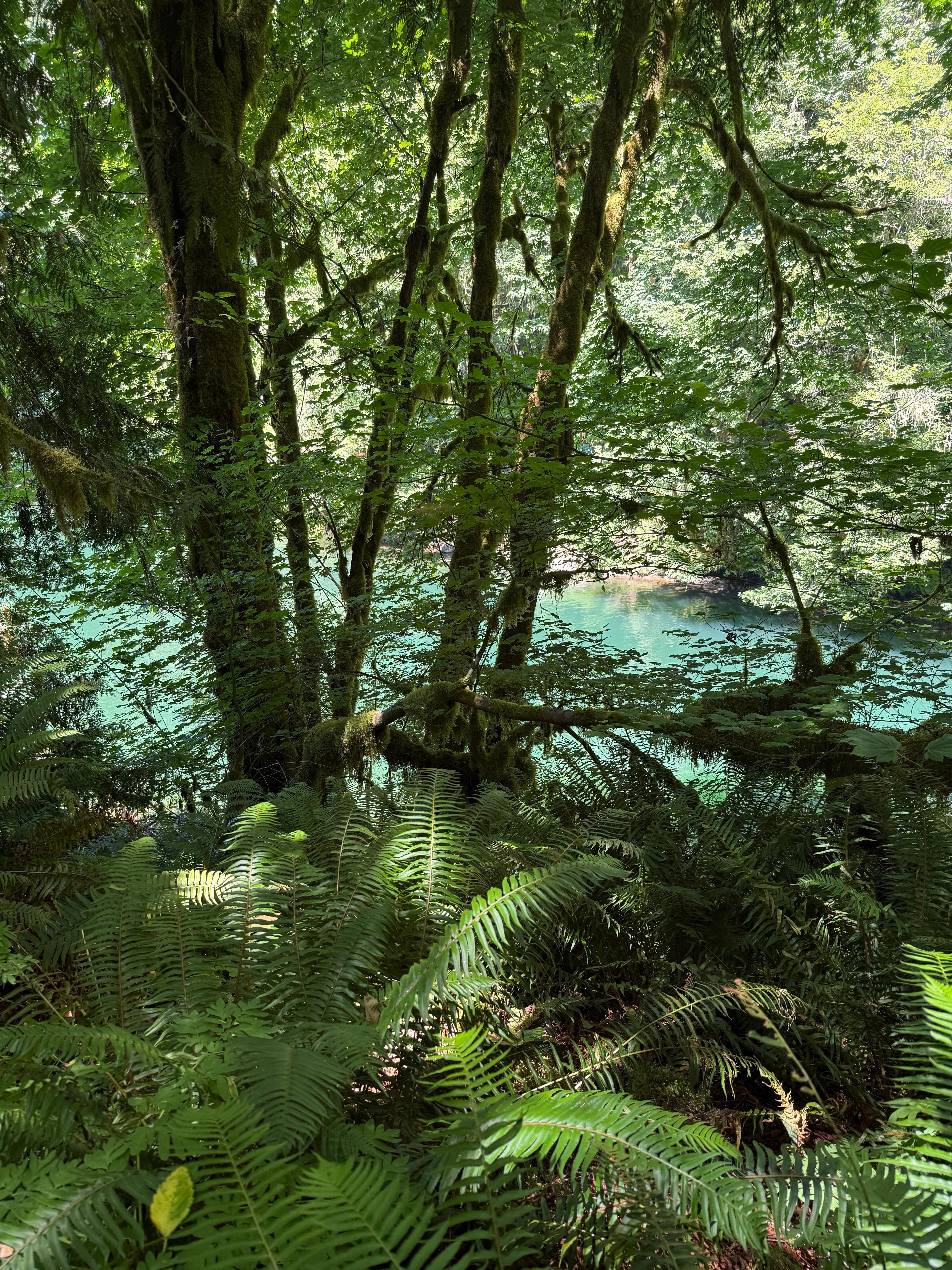 Ike Kiswa State Park